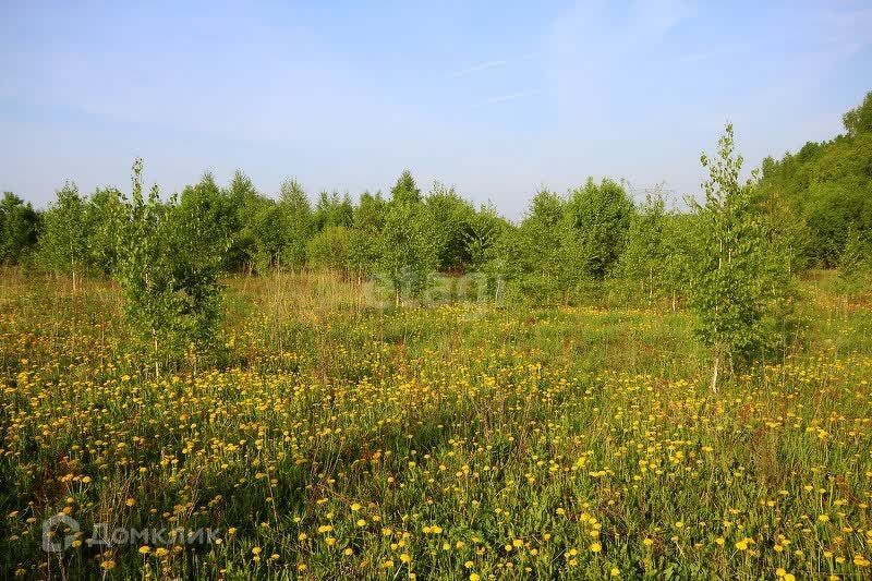 земля г Хабаровск р-н Краснофлотский СТ Хлебопёк, городской округ Хабаровск фото 8