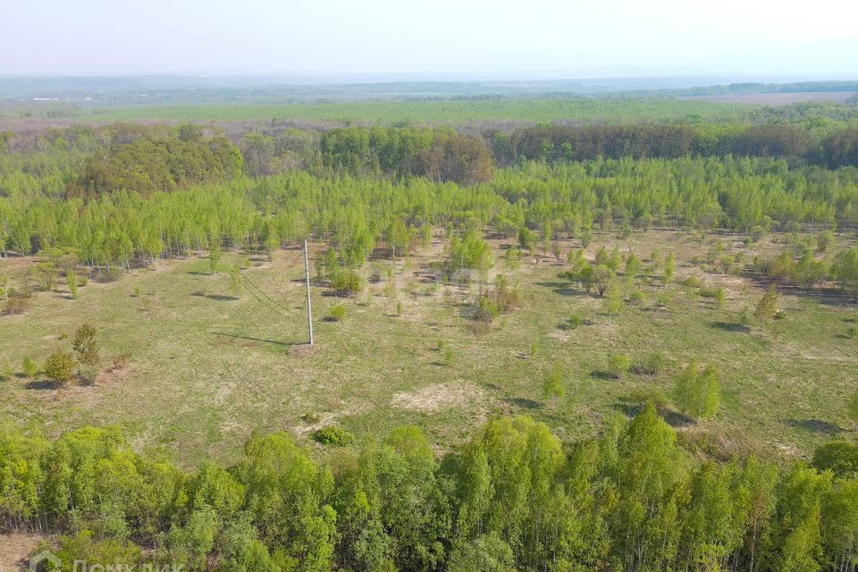 земля р-н Хабаровский с Осиновая Речка ул Амурская фото 10