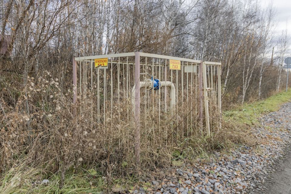 земля г Тюмень Тюмень городской округ, СТ Меркурий фото 9