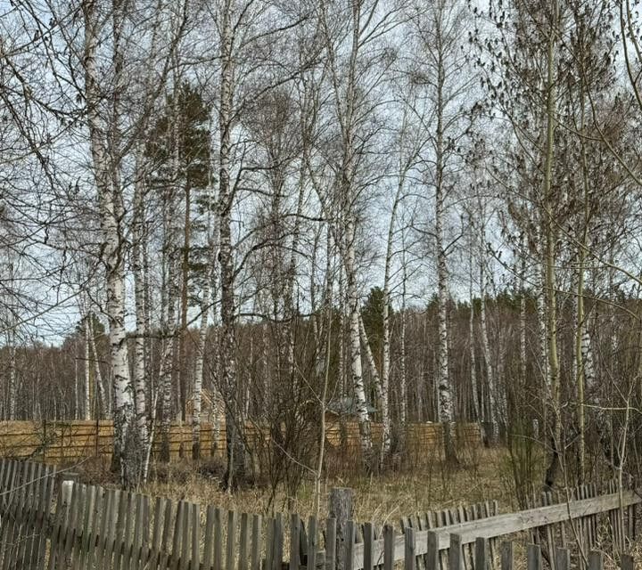 земля г Красноярск р-н Октябрьский ул Беловежская 22а/2 Красноярск городской округ фото 7