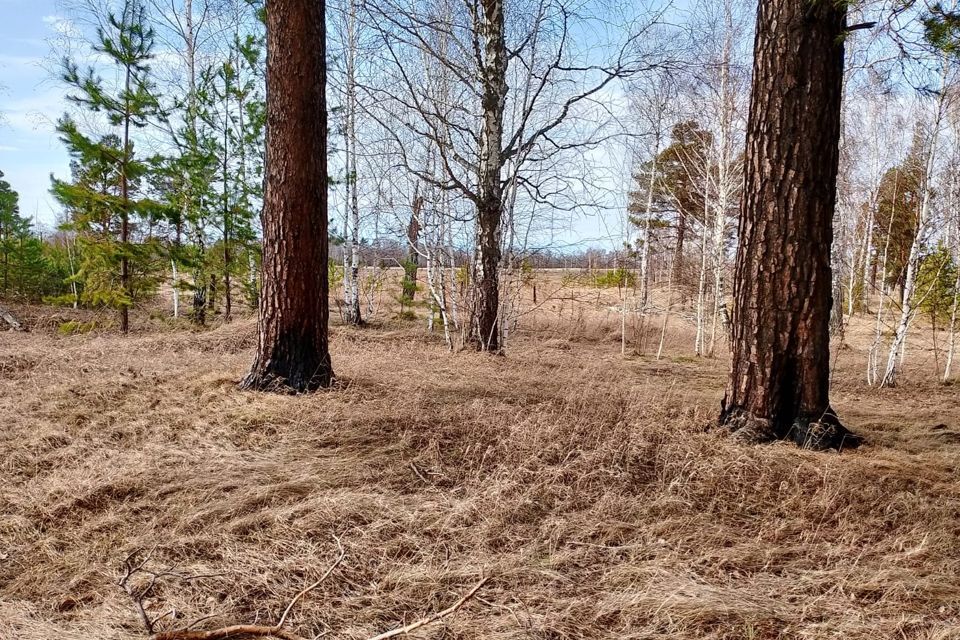 земля р-н Первомайский п Лесной Бобровский сельсовет, Алтайская фото 3