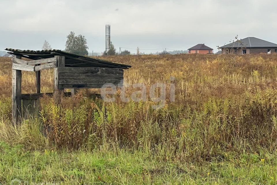 земля р-н Брянский СДТ Радуга-1 фото 4