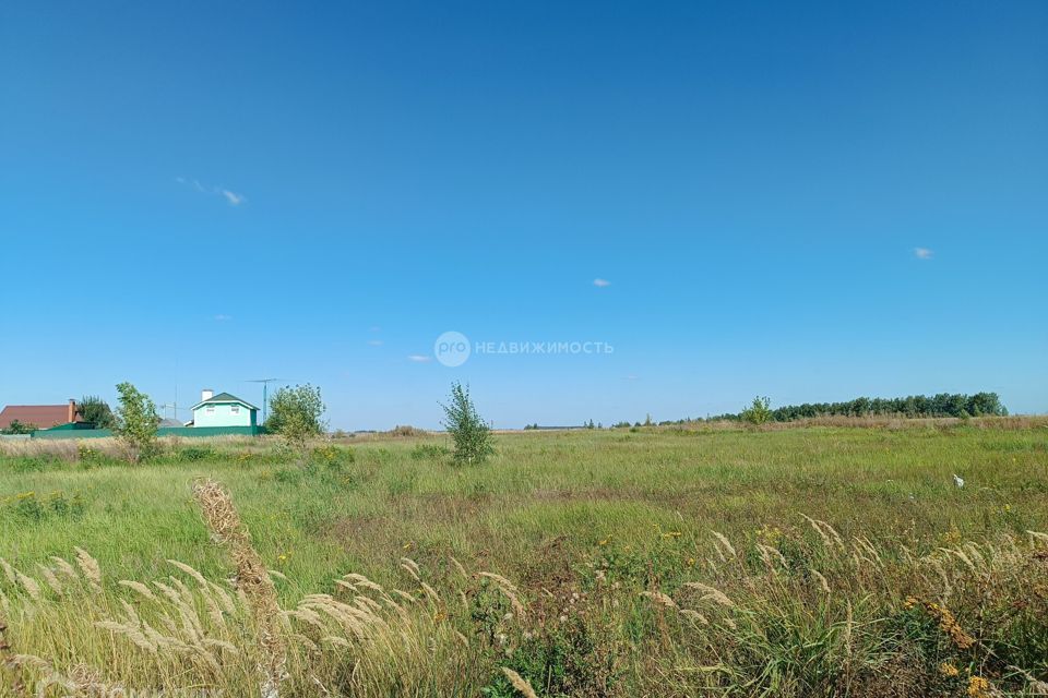 земля р-н Рязанский д Рожок Английский Рожок фото 2