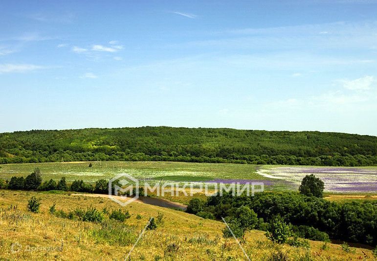 земля р-н Малоархангельский Подкопаево фото 1