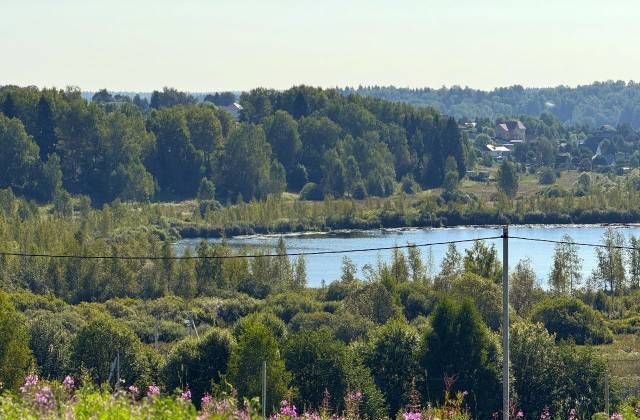 земля городской округ Дмитровский д Мелихово 32 км, Деденево, Дмитровское шоссе фото 6