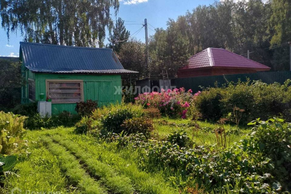 земля г Новосибирск р-н Заельцовский СНТ Любитель, Новосибирск городской округ фото 1