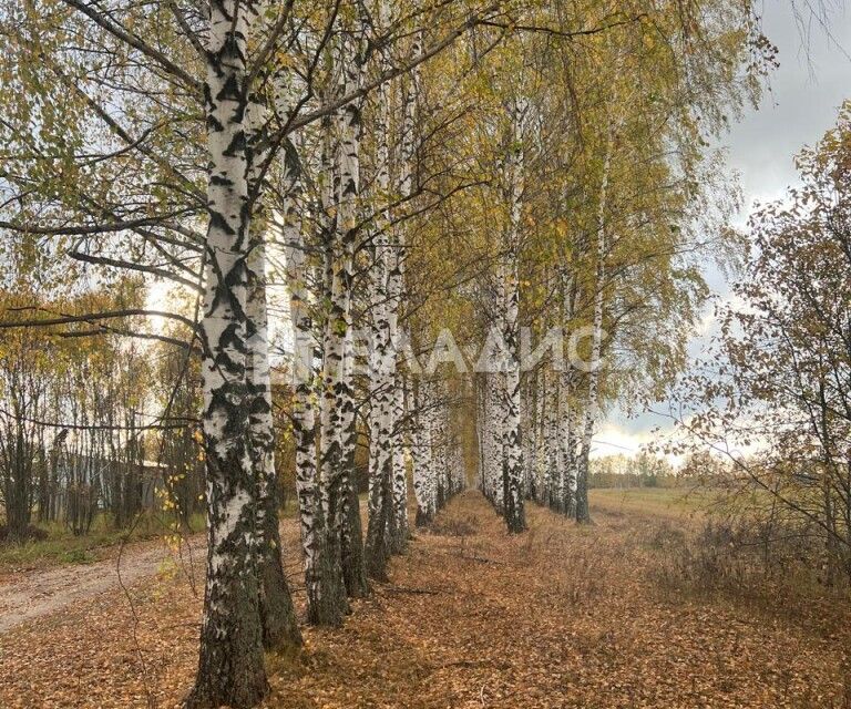 земля р-н Дивеевский с Дивеево ул Октябрьская фото 3