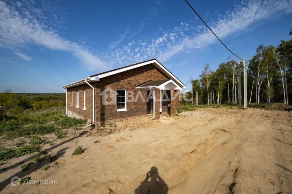 дом р-н Богородский с Ефимьево Лесная фото 2