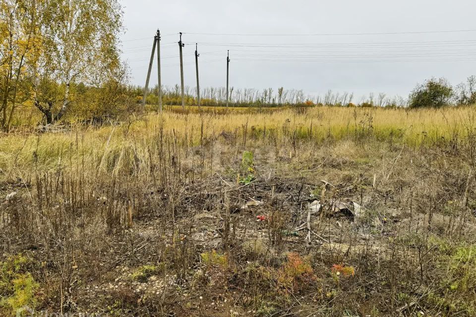 земля Тула городской округ, Волоть фото 4