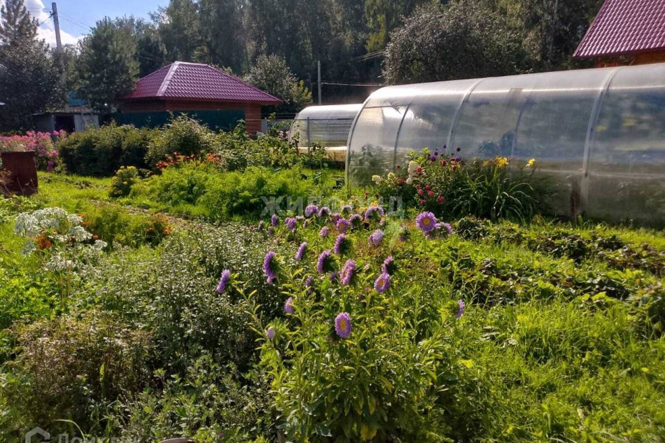 земля г Новосибирск р-н Заельцовский СНТ Любитель, Новосибирск городской округ фото 4