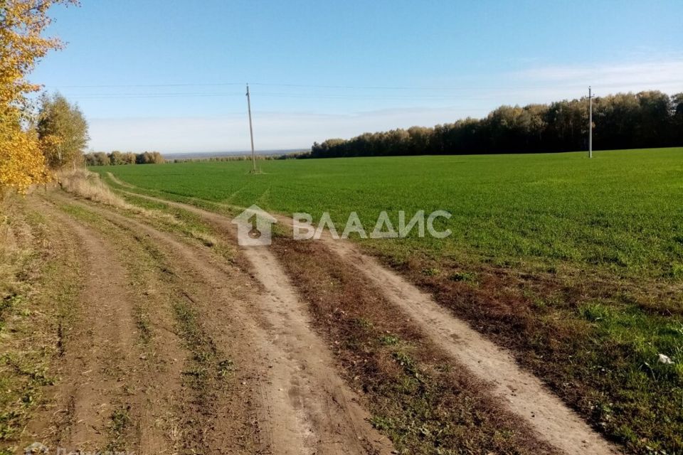 земля р-н Гороховецкий д Богородское 13 фото 9