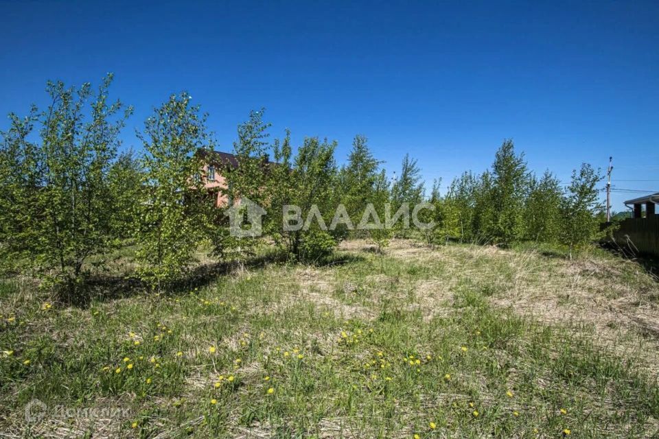 земля р-н Богородский д Бурцево Раздолье фото 7