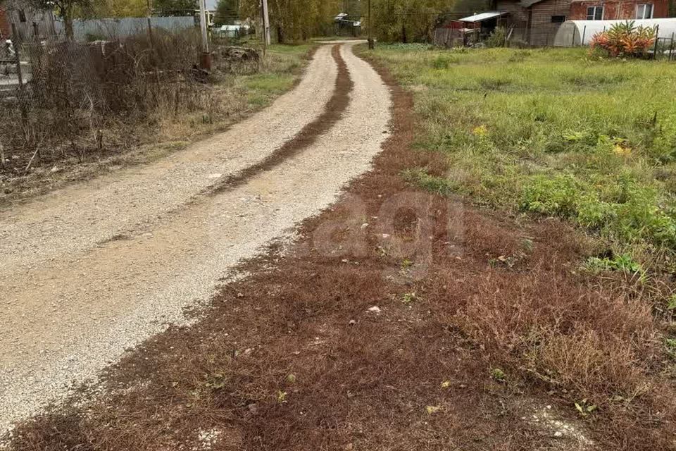 земля Тула городской округ, Волоть фото 5