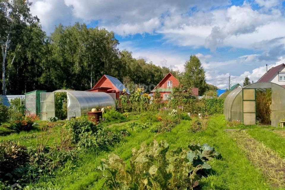 земля г Новосибирск р-н Заельцовский СНТ Любитель, Новосибирск городской округ фото 5