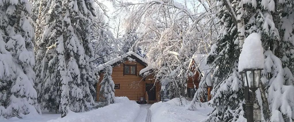 дом городской округ Дмитровский Андрейково-лесное кп, 10 фото 1