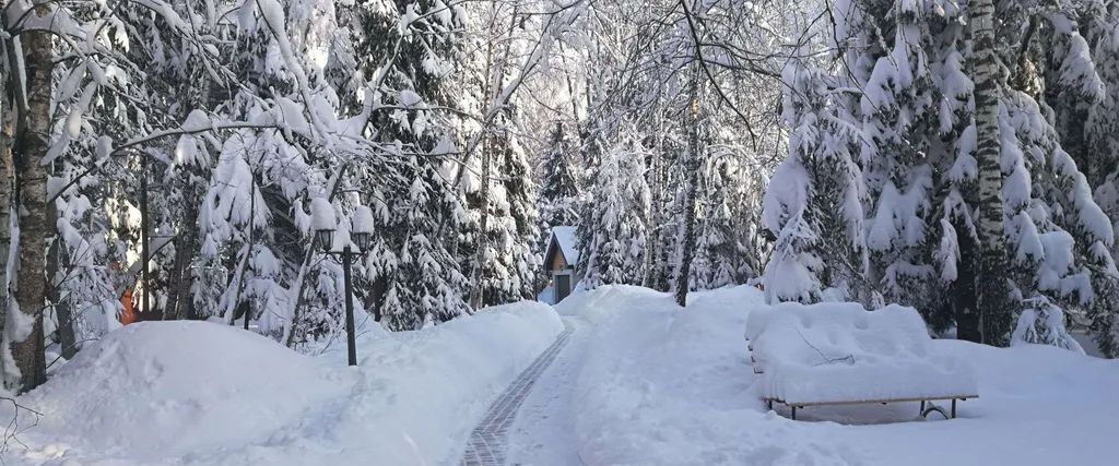 дом городской округ Дмитровский Андрейково-лесное кп, 10 фото 3