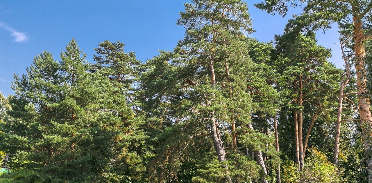 дом городской округ Красногорск с Дмитровское Николина Поляна кп, Павшино, 69 фото 13