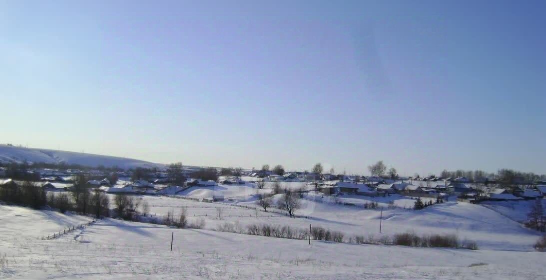 земля р-н Пестречинский с Богородское ул Центральная 44в фото 2