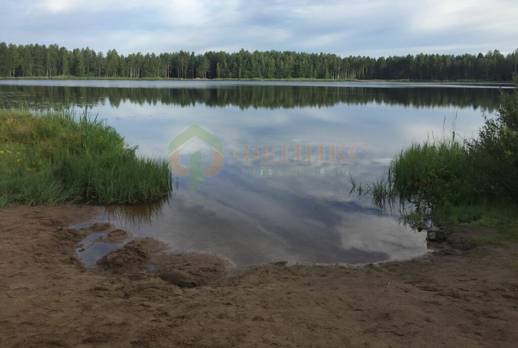 дом р-н Выборгский Рощинское городское поселение, садоводческое некоммерческое товарищество Квант фото 19