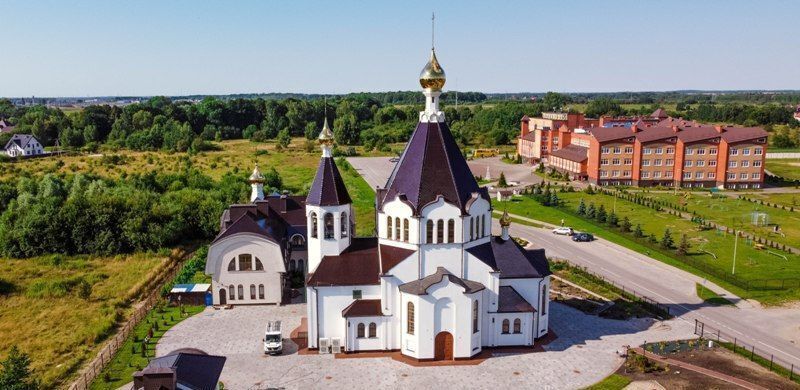 земля р-н Гурьевский п Большое Исаково ул Южная Калининград фото 3