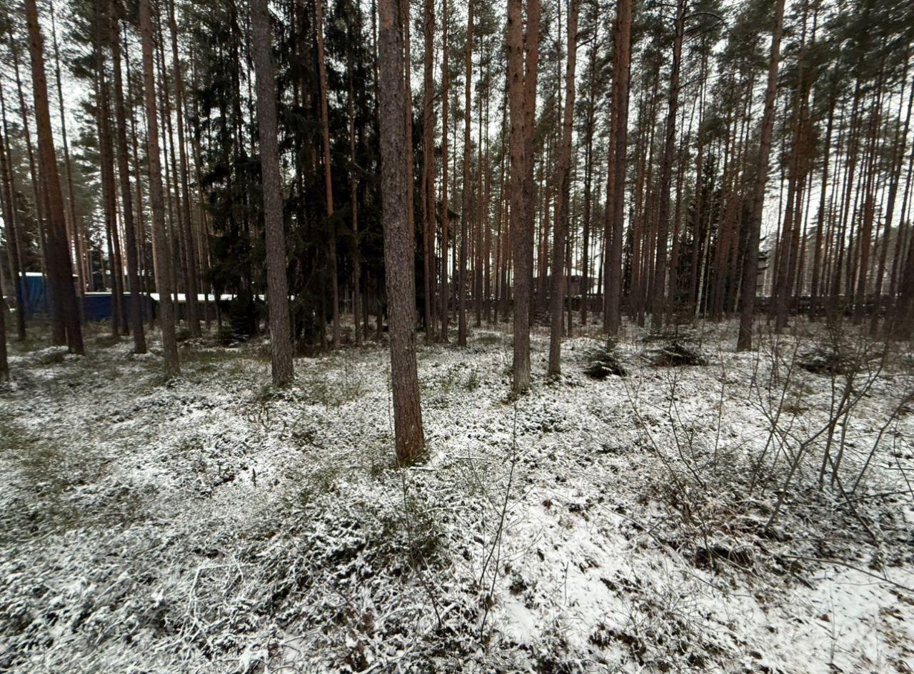 земля р-н Всеволожский д Энколово Бугровское городское поселение, Райт Парк кп, Парнас фото 1