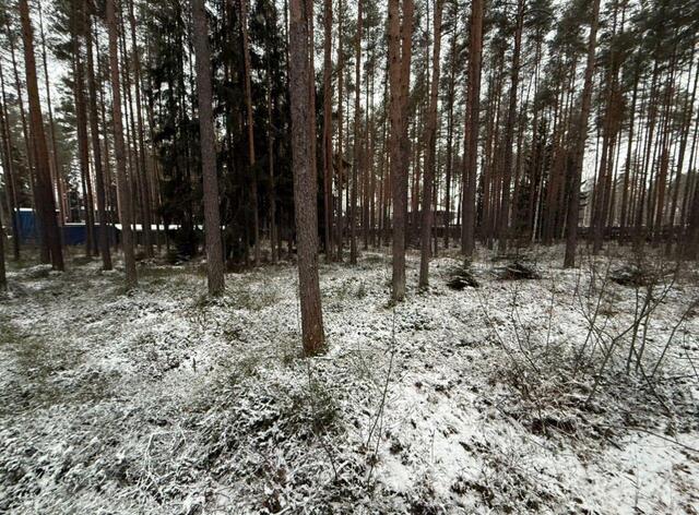 Бугровское городское поселение, Райт Парк кп, Парнас фото