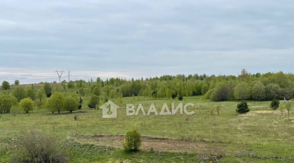 земля г Владимир с Мосино р-н Ленинский фото 3