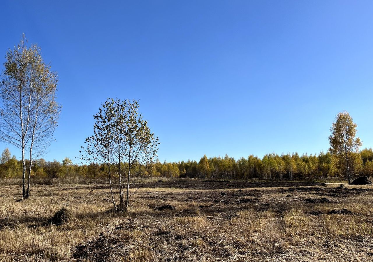 земля городской округ Кашира д Тарасково 87 км, Ступино, Каширское шоссе фото 3