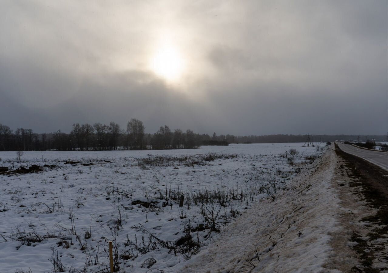 земля городской округ Шаховская с Белая Колпь ул Центральная 1 111 км, Новорижское шоссе фото 4