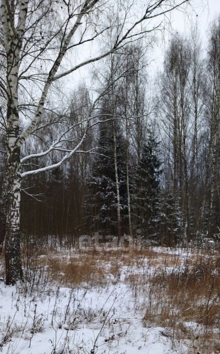 земля р-н Бабынинский д Рындино 17, Воротынск городское поселение фото 5