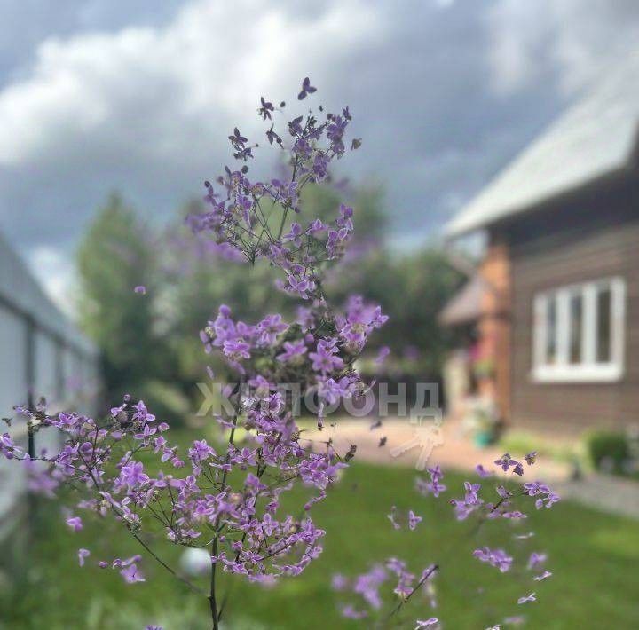 дом г Томск п Апрель ул Бориса Пастернака р-н Кировский фото 2