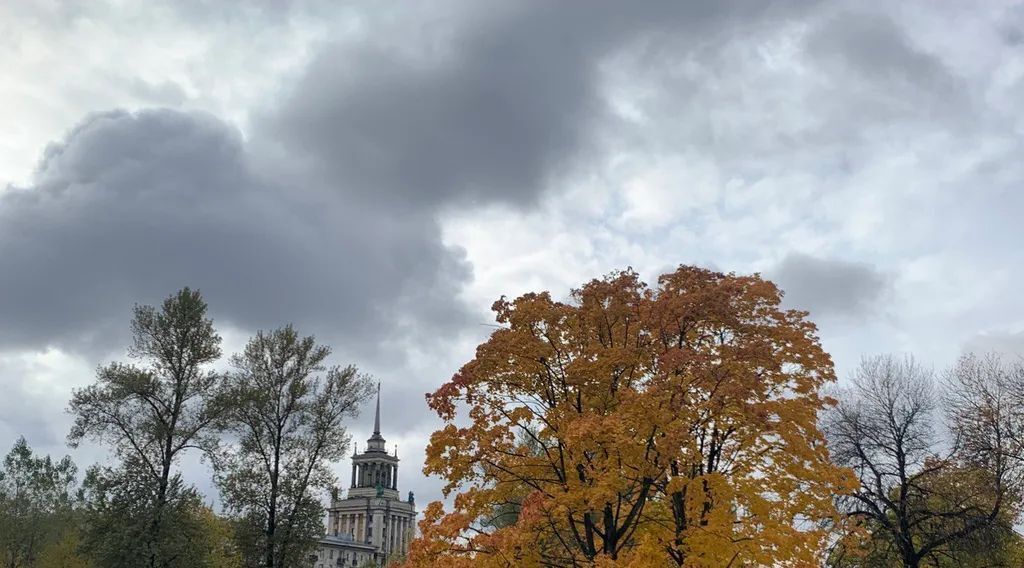 квартира г Санкт-Петербург метро Парк Победы р-н Московская Застава ул Бассейная 59 фото 16