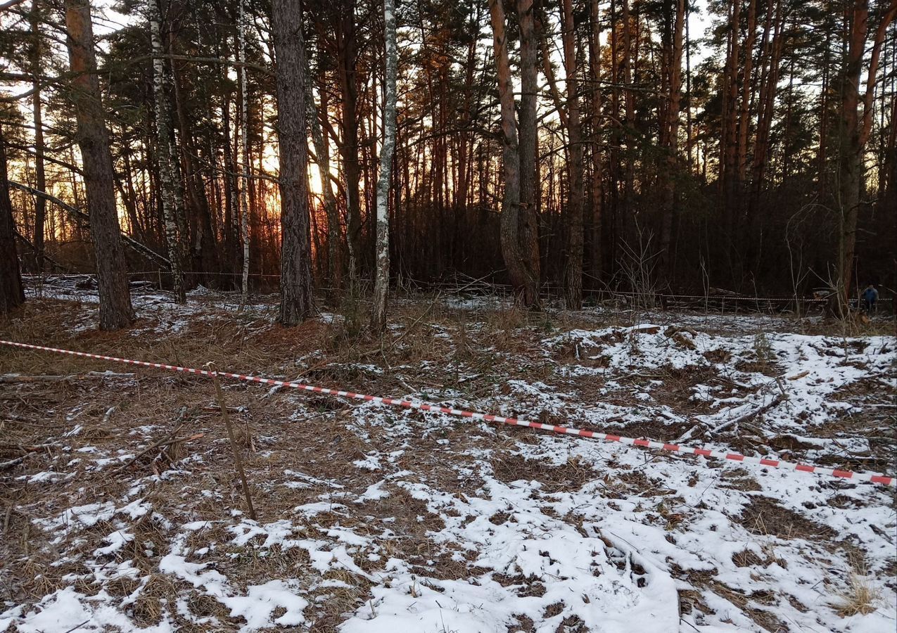 земля р-н Заокский рп Заокский городское поселение Заокский фото 3