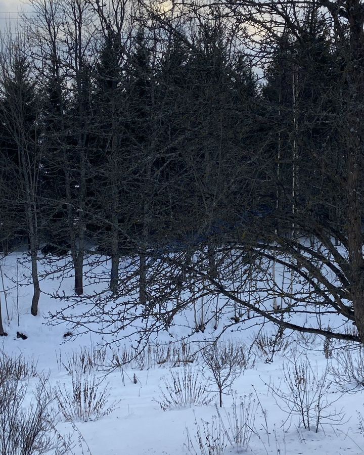 дом городской округ Дмитровский рп Деденево проезд 4-й 2 37 км, Деденево, Дмитровское шоссе фото 10