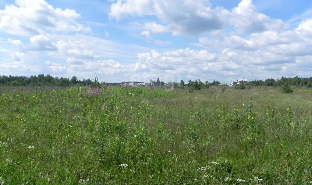 земля городской округ Серпухов д Большое Грызлово фото 2