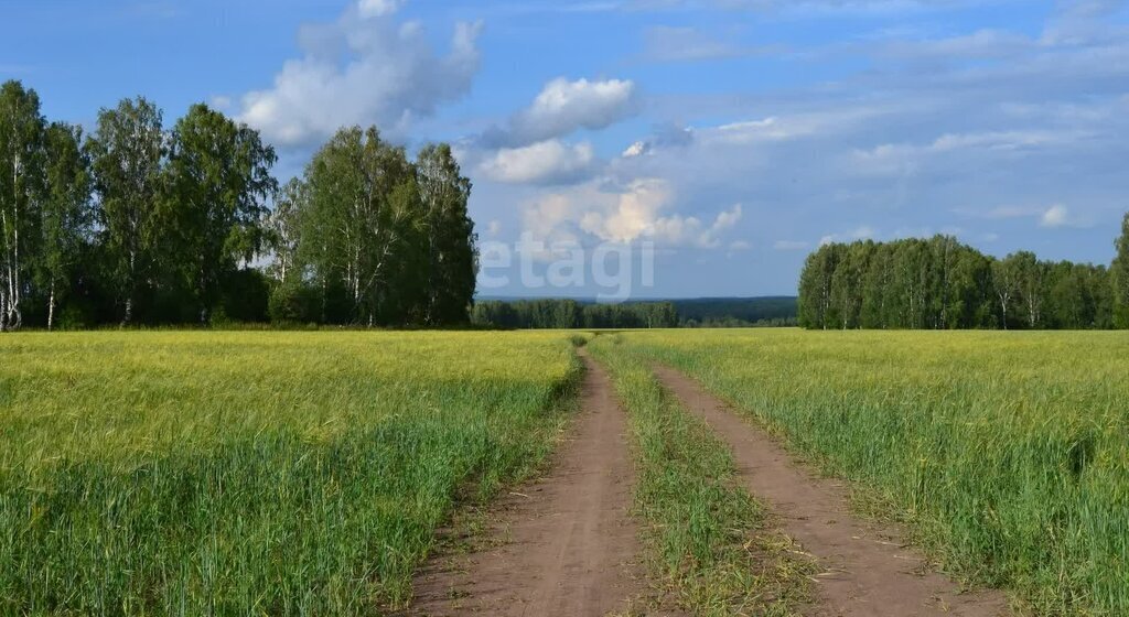 земля городской округ Серпухов д Большое Грызлово фото 3