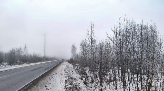 земля г Всеволожск Хутор Ракси мкр фото