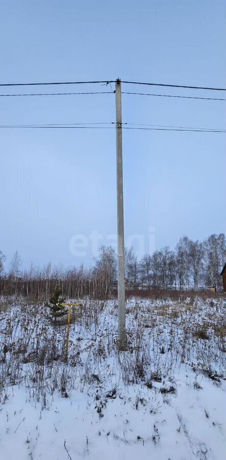 земля р-н Тюменский с Кулига коттеджный пос. Альпийская Долина, Тюмень фото 3