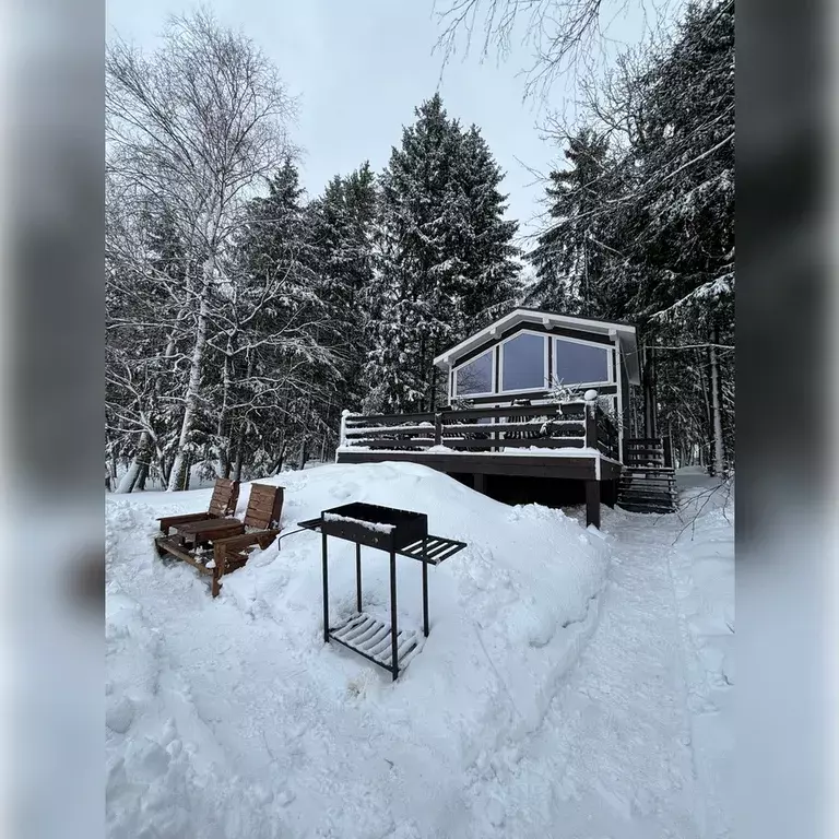 дом городской округ Солнечногорск д Чашниково улица, б/н фото 1