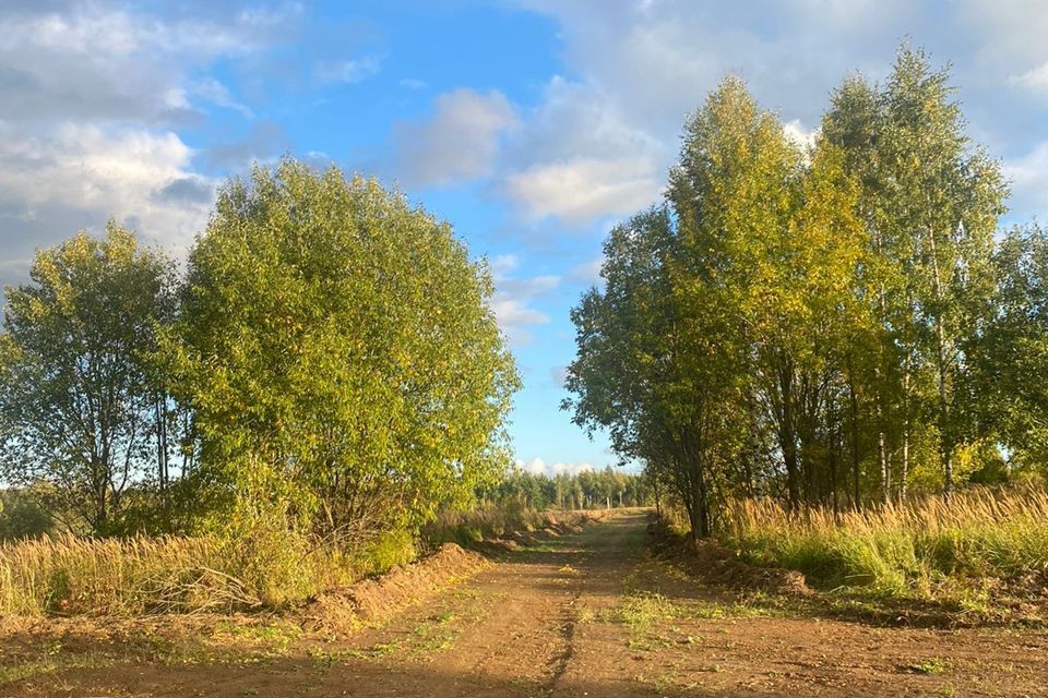 земля р-н Кольчугинский деревня Гольяж фото 2