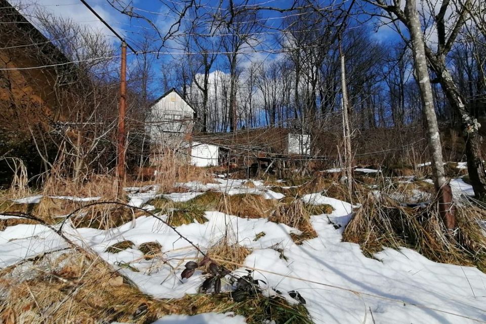 земля р-н Кущевский с Алексеевское городской округ Сочи, СТ Сад фото 2