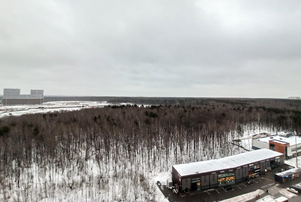 квартира городской округ Ленинский рп Дрожжино ул Южная 27 Бутово фото 12