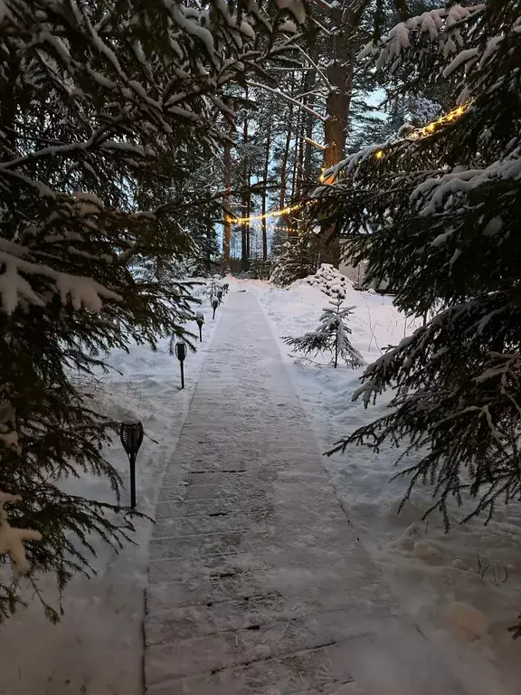 дом р-н Псковский д Подборовье-1 б/н, Псков фото 10