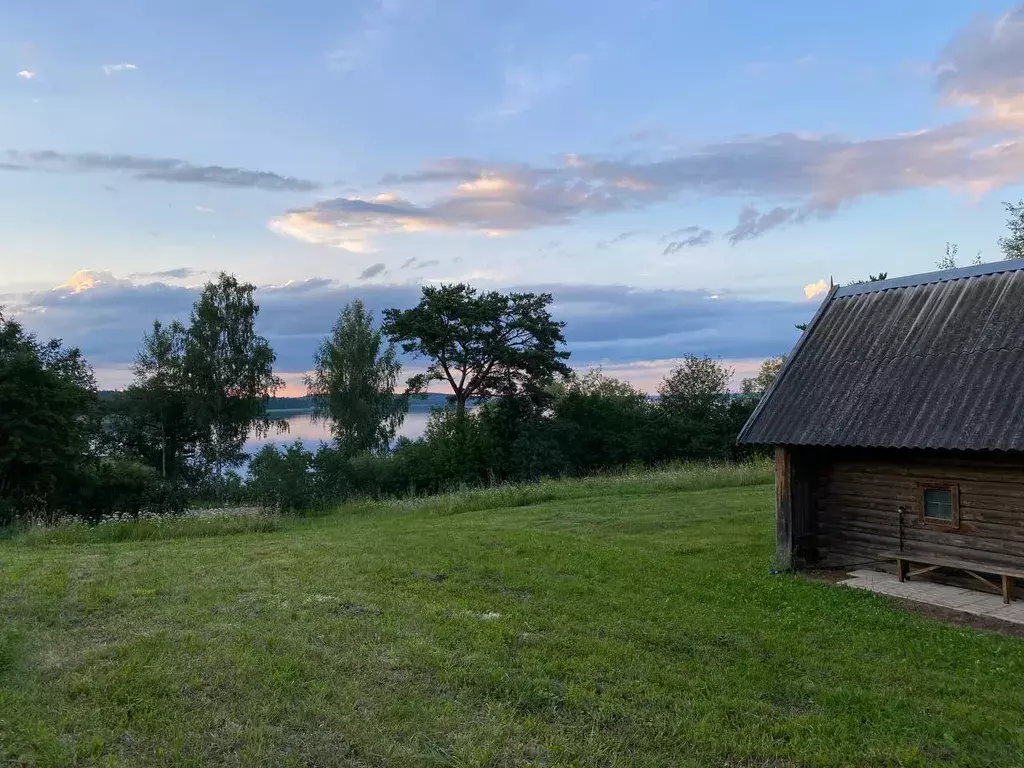 дом р-н Себежский д Селявы ул Центральная 23 Сосновый Бор фото 25