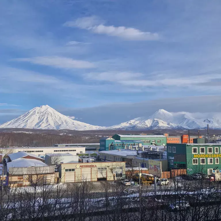 квартира г Петропавловск-Камчатский пр-кт Победы 41 фото 8