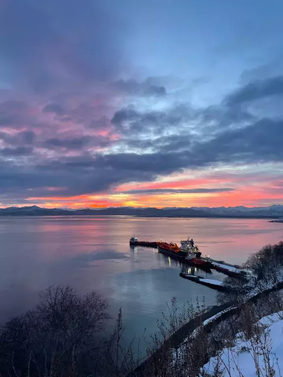 квартира г Петропавловск-Камчатский ул Даурская 10 фото 21