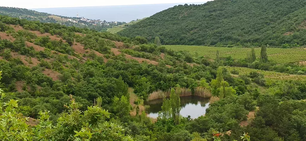 дом г Алушта с Малореченское ул Весенняя 9 фото 33