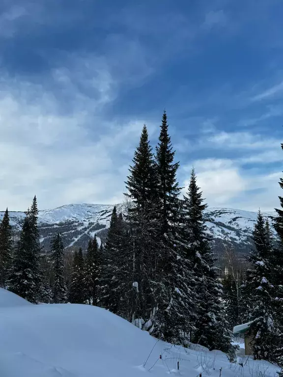 дом р-н Таштагольский пгт Шерегеш ул Ледовая 172 фото 39