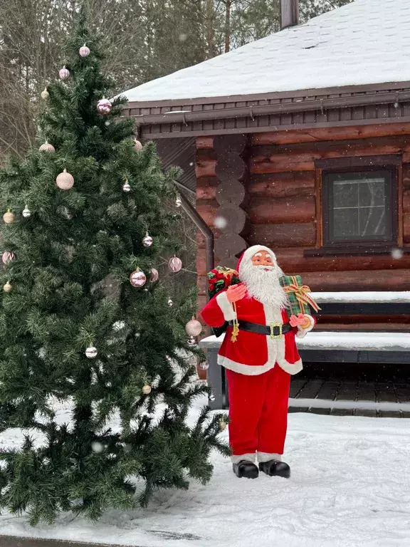 дом р-н Городецкий с Смольки (Смольковский с/с) Полянки улица, 1, Никольское фото 15