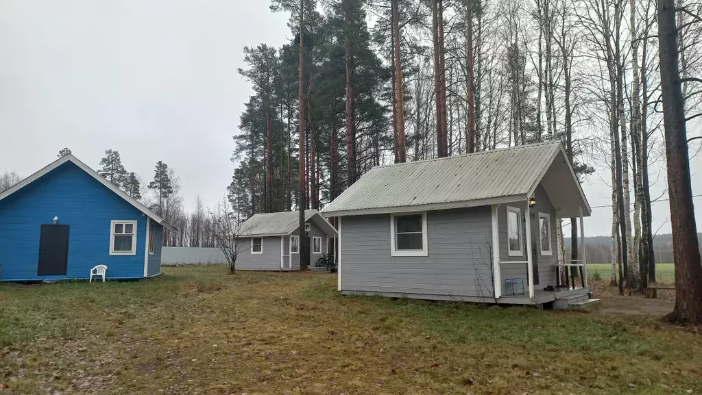 дом р-н Приозерский п Петровское ул Брусничная 1 Петяярви фото 7